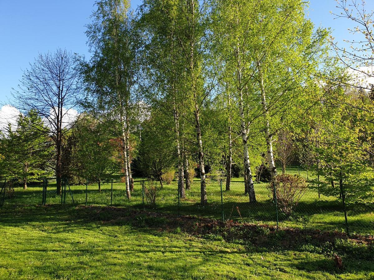 Pokoje Karkonosze Przesieka Zewnętrze zdjęcie